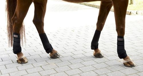 Covalliero kombinált ínvédő és bokavédő szettl, 4 darabos , fekete