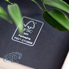 a little something ®  Camden Necklace | Női érmelánc 18 karátos arannyal futtatva