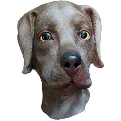 Halloween állati kutyajelmez labrador fej